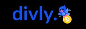 logo divyli